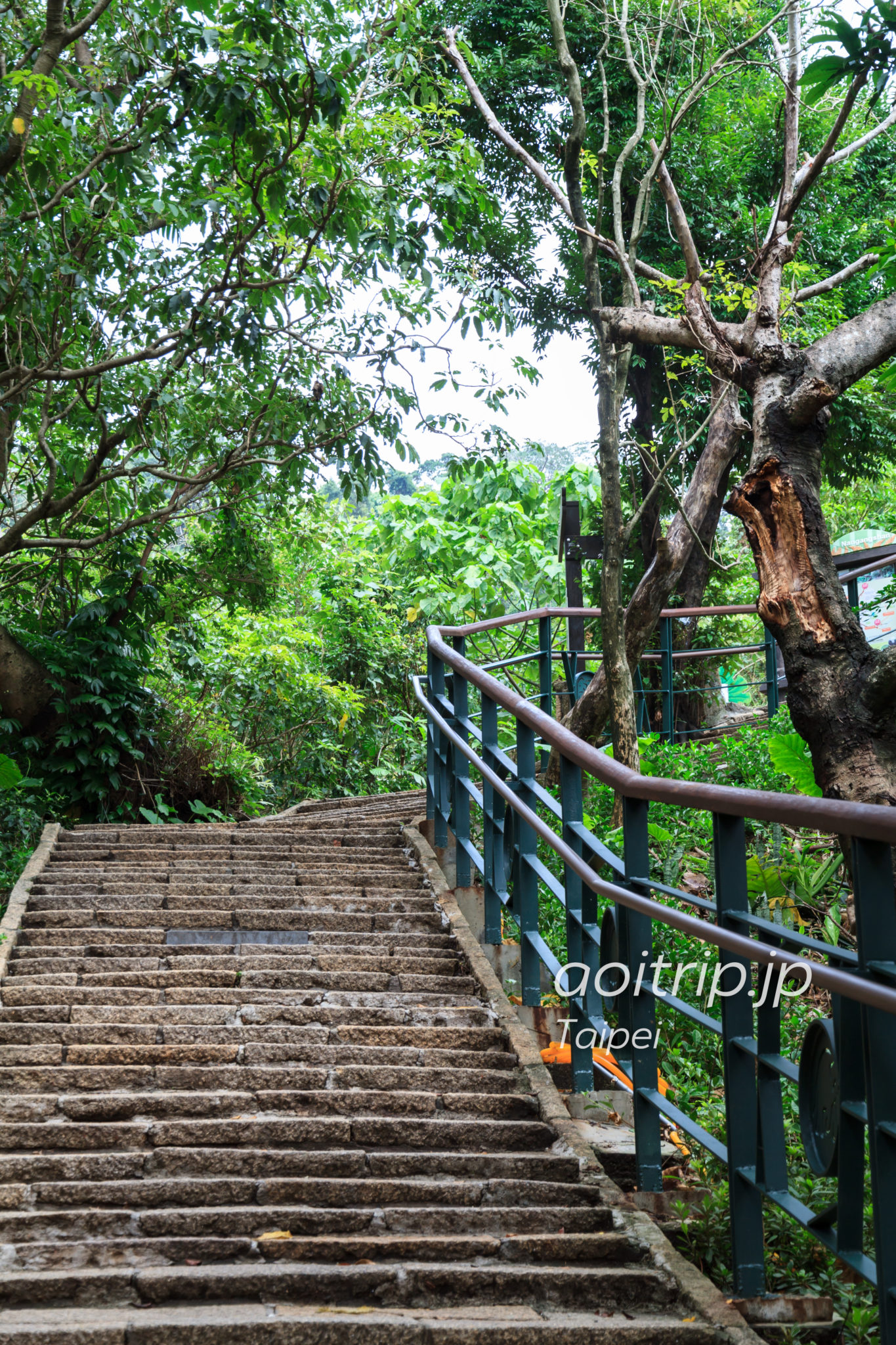 象山自然歩道の階段