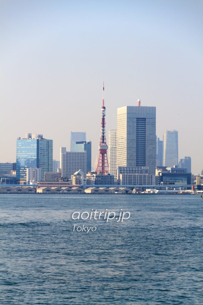 東京湾から見る東京タワー