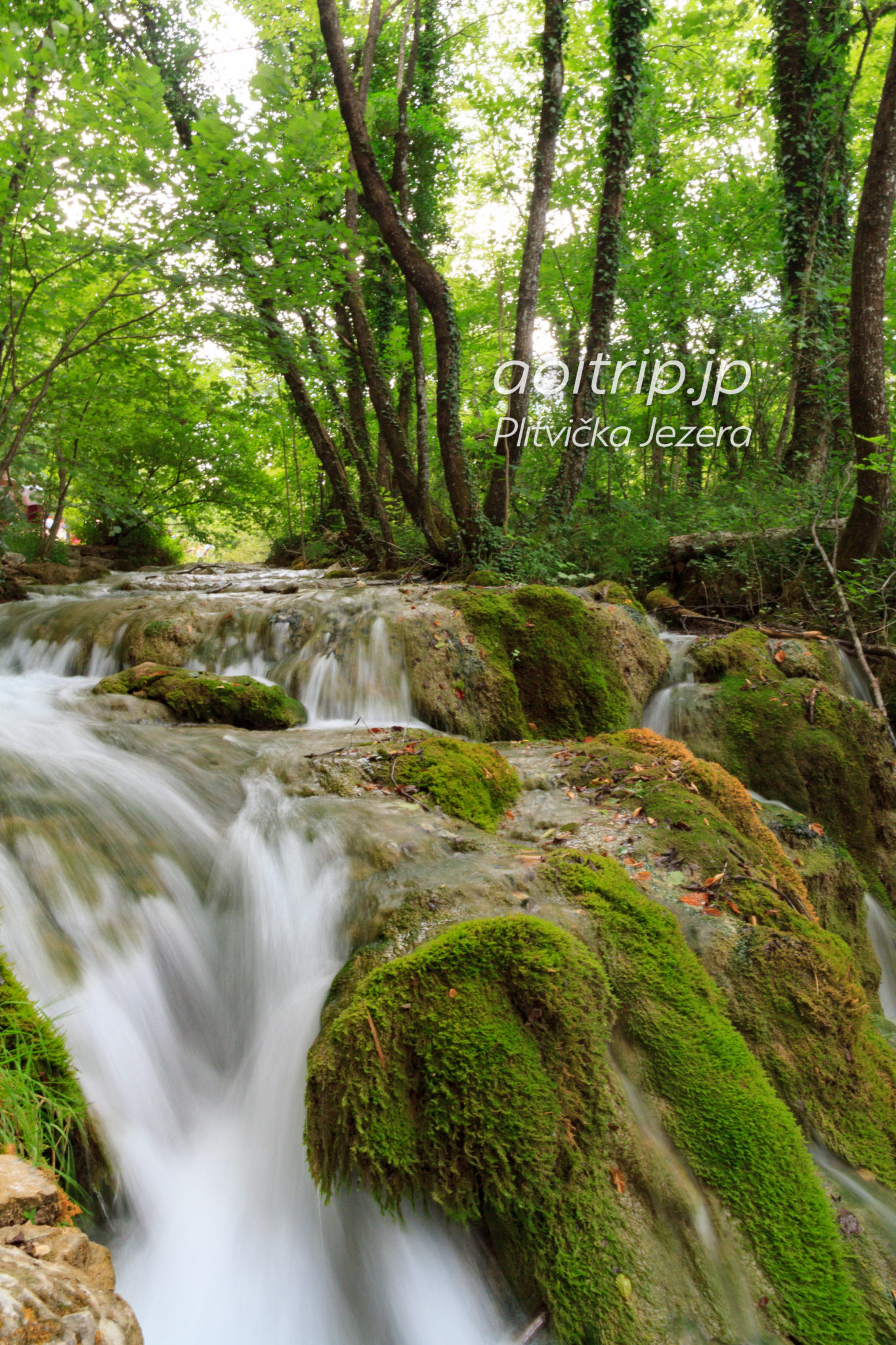 プリトヴィツェ湖群国立公園（クロアチア・世界遺産）