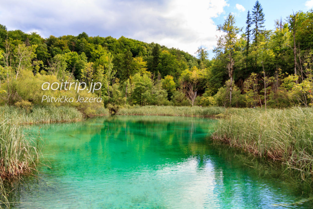 プリトヴィツェ湖群国立公園（クロアチア・世界遺産）