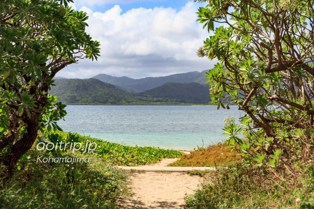 ちゅらさんの舞台 小浜島 観光の見どころ 沖縄 八重山諸島 あおいとりっぷ