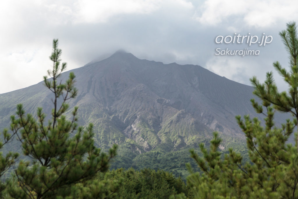 有村溶岩展望所から見る桜島の南岳