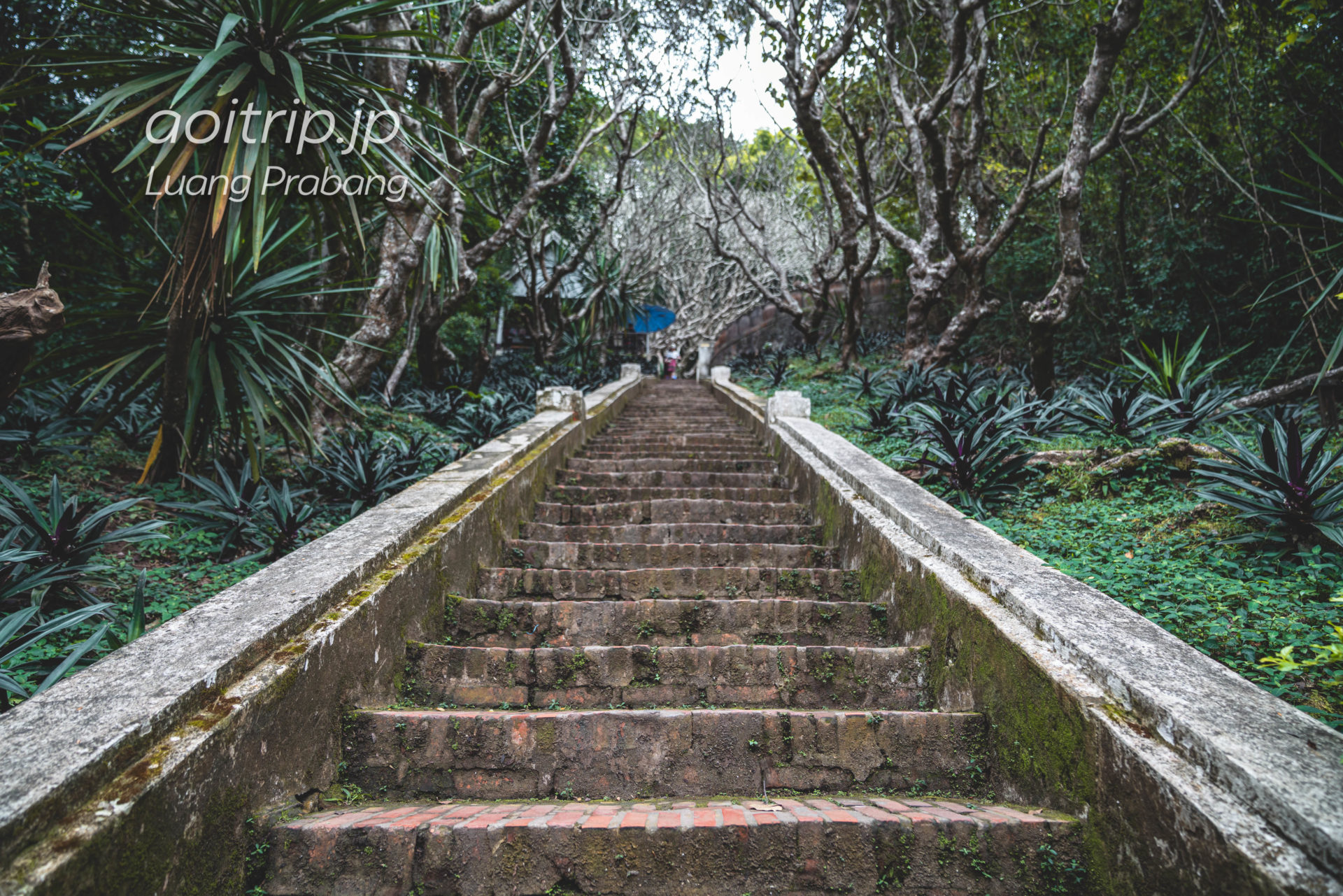 ラオス・ルアンパバーンのプーシーの丘へ続く階段