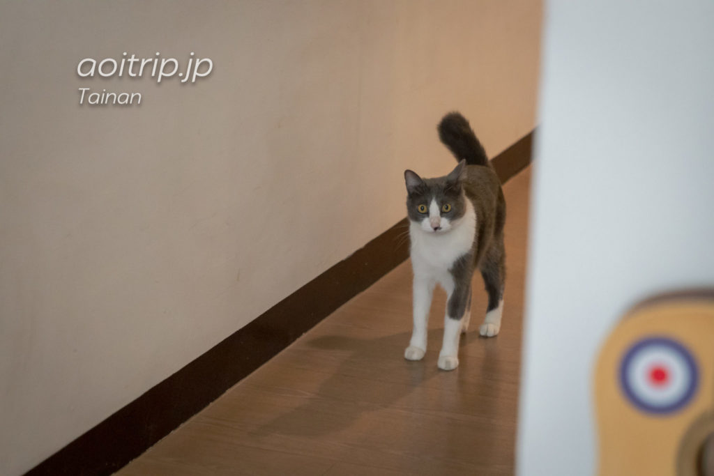 台南 漫半拍Lento Hostelの猫 A-Fi
