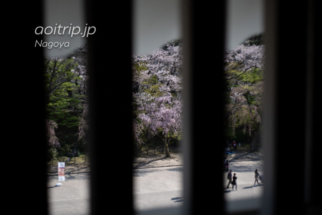 名古屋城の西南角櫓から桜を望む