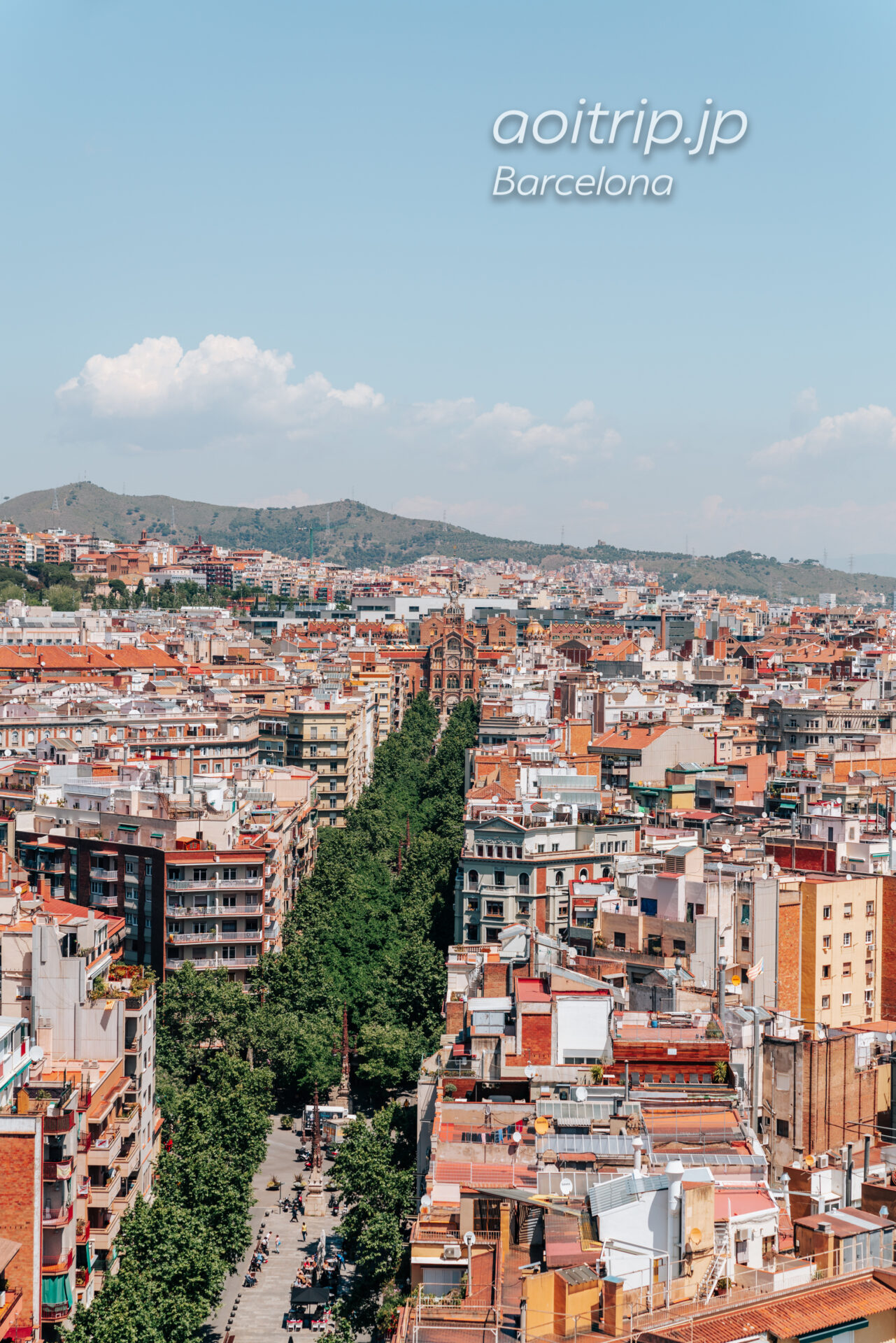 バルセロナ サグラダファミリアの鐘楼からの眺望