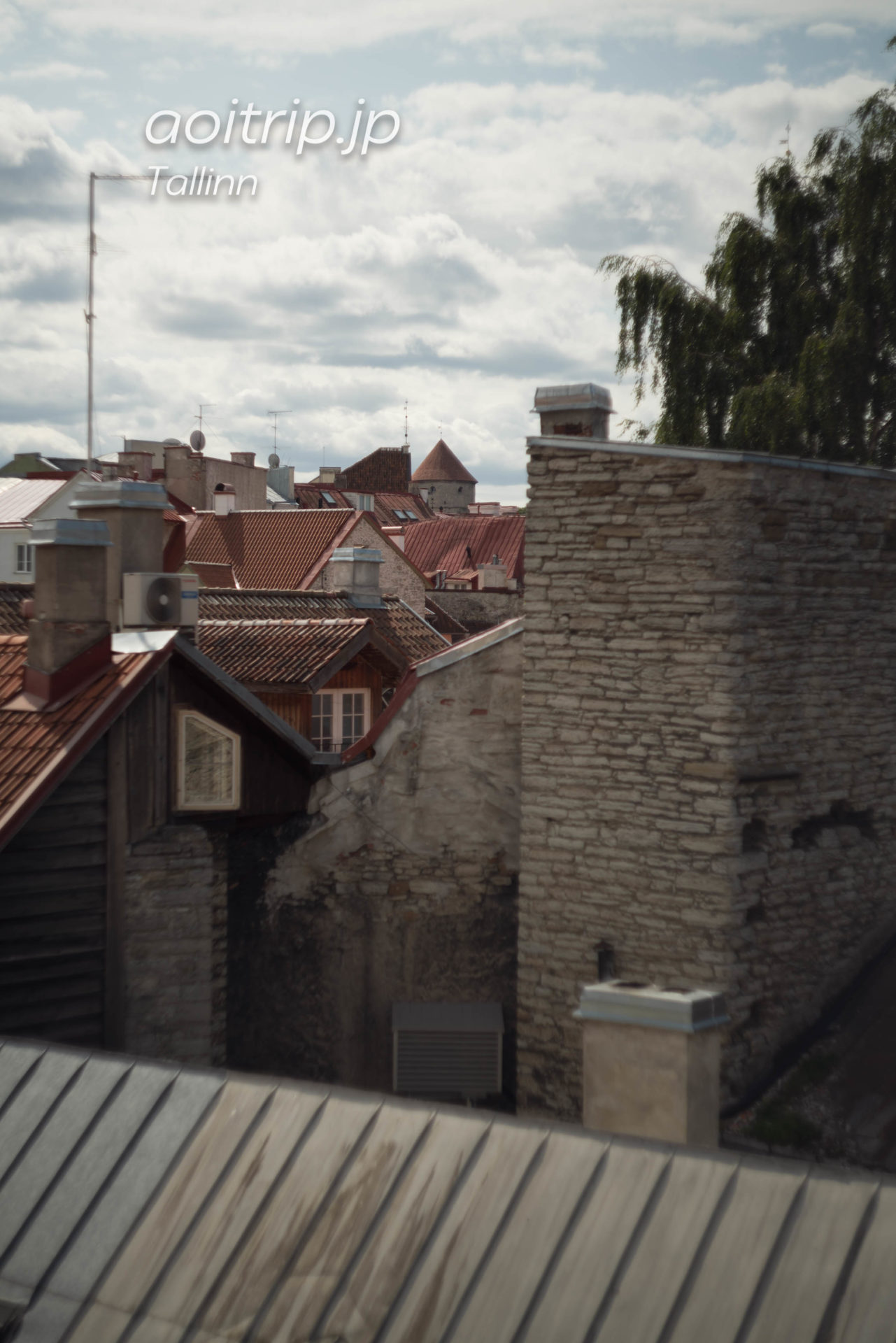 エストニア タリン旧市街の城壁　へレマン塔