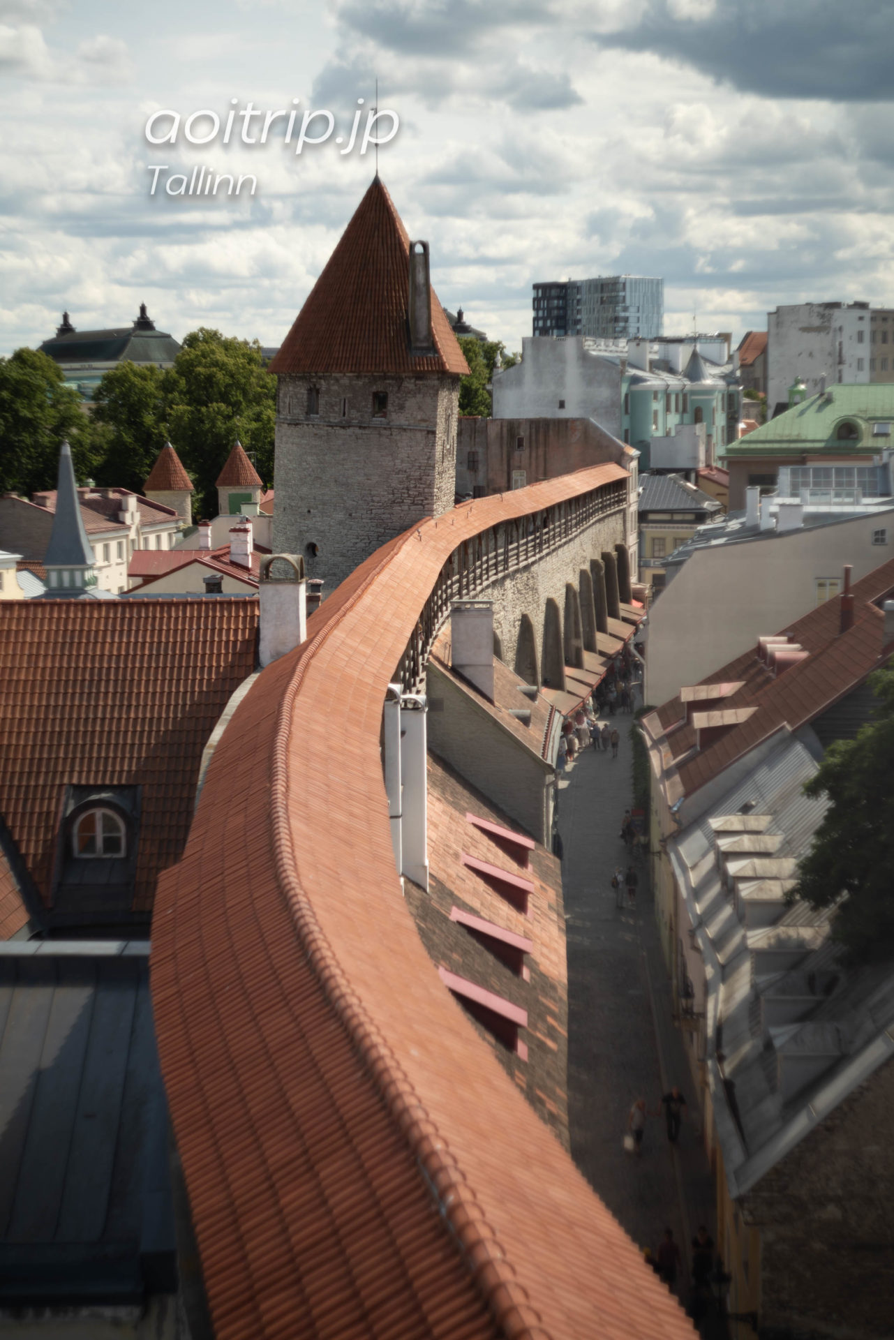 エストニア タリン旧市街の城壁　へレマン塔