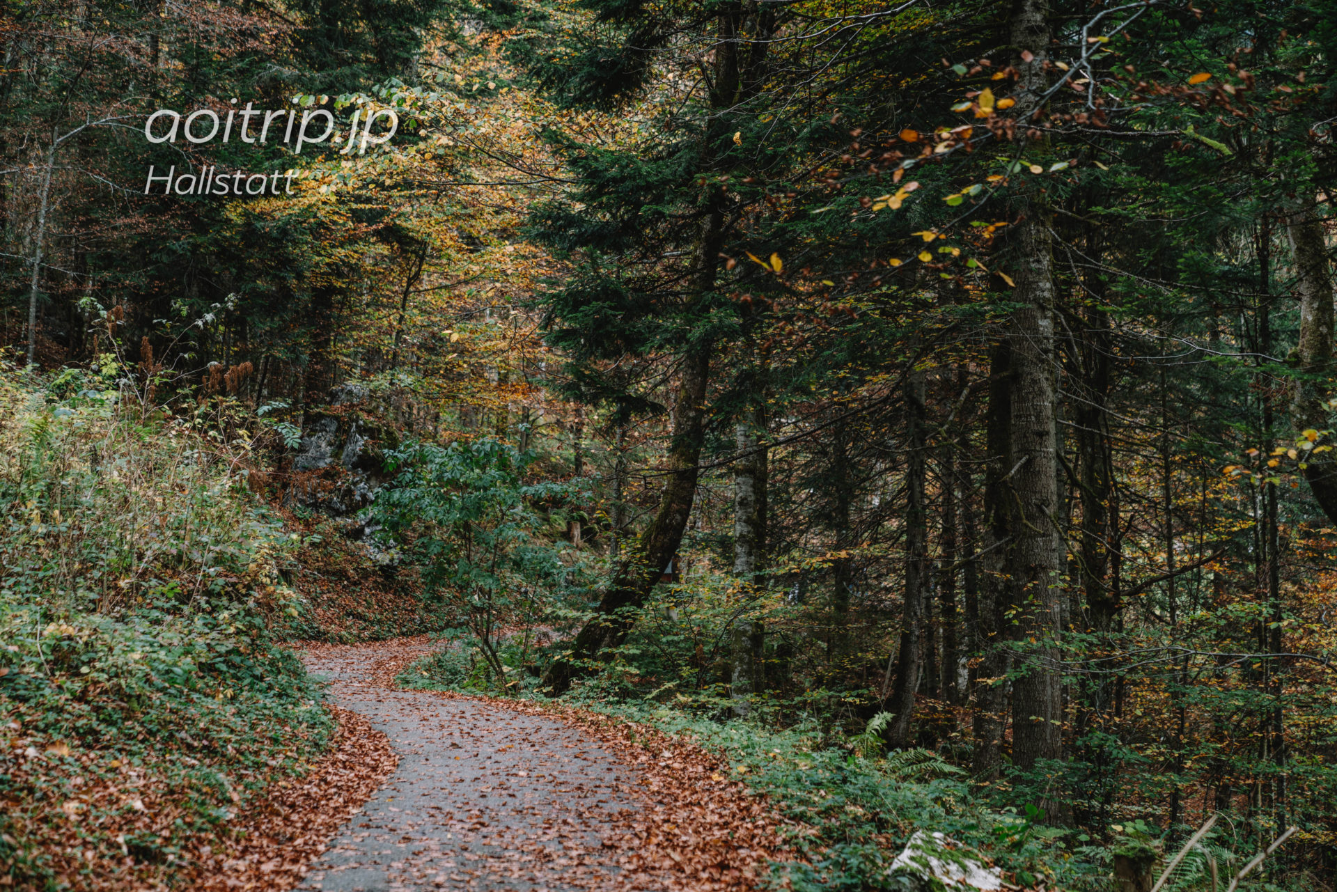 ハルシュタット塩坑 ケーブルカーで上り、滑り台で下り、トロッコで脱出|Salzwelten, Hallstatt あおいとりっぷ