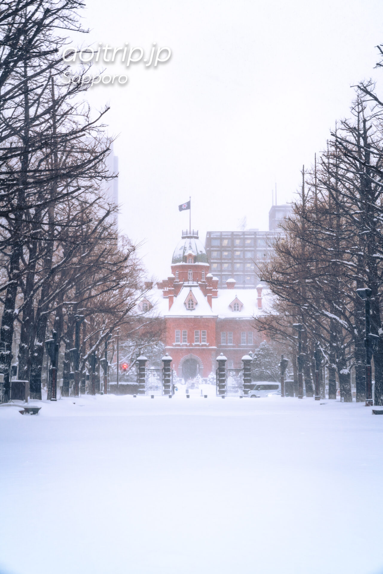 冬の北海道庁赤れんが庁舎 （旧本庁舎）