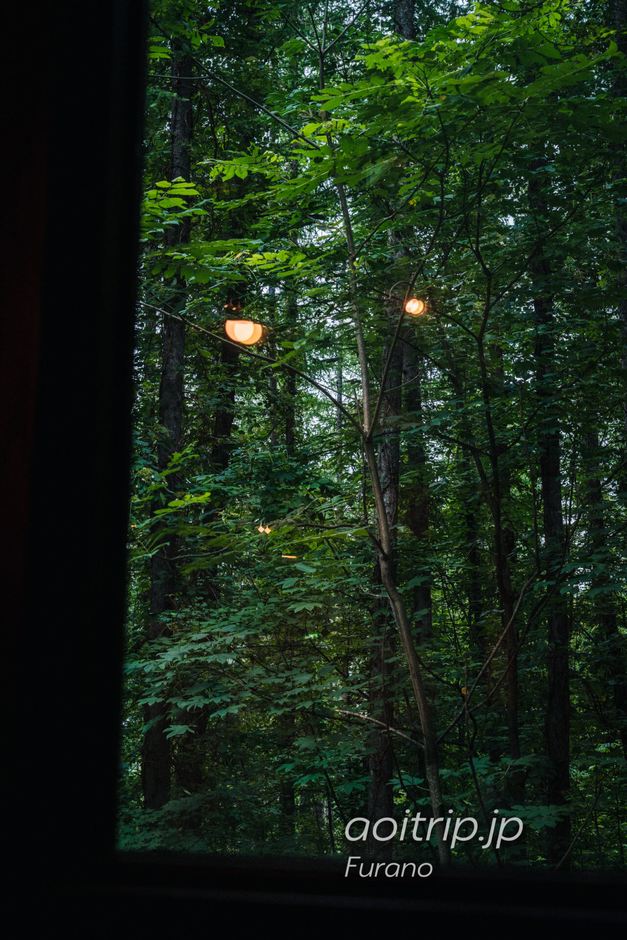珈琲 森の時計｜富良野の森の中にある喫茶店
