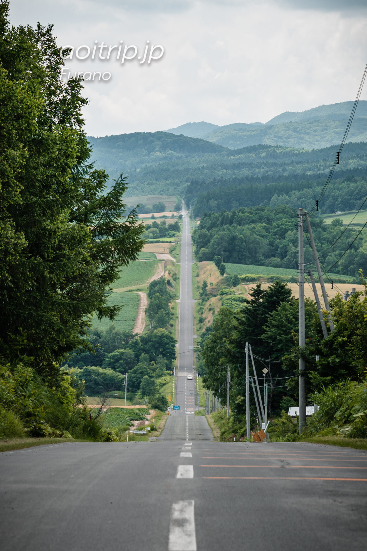 上富良野 ジェットコースターの路 Roller Coaster Road Kamifurano あおいとりっぷ