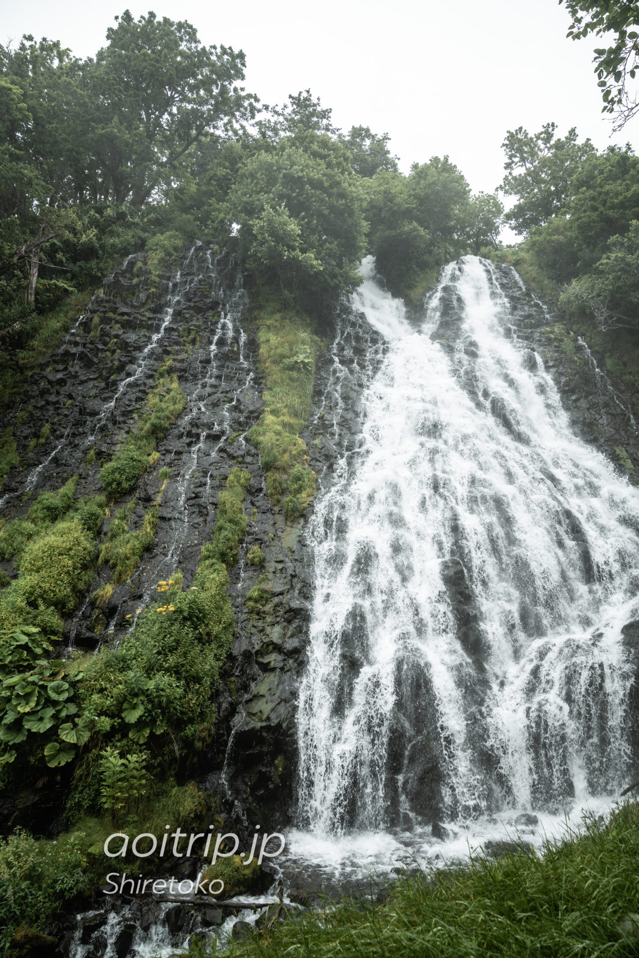 知床 オシンコシンの滝｜Oshinkoshin Falls, Shiretoko