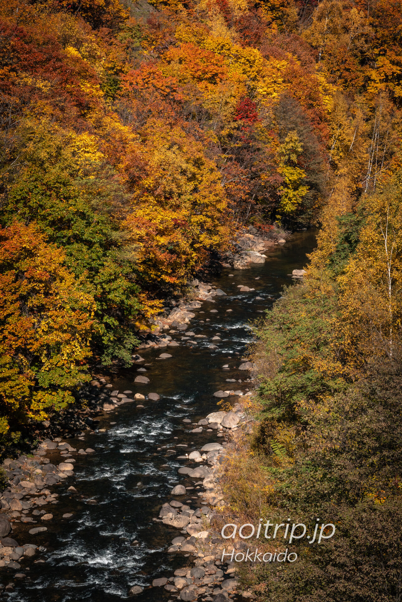 定山渓大橋から望む豊平川と紅葉