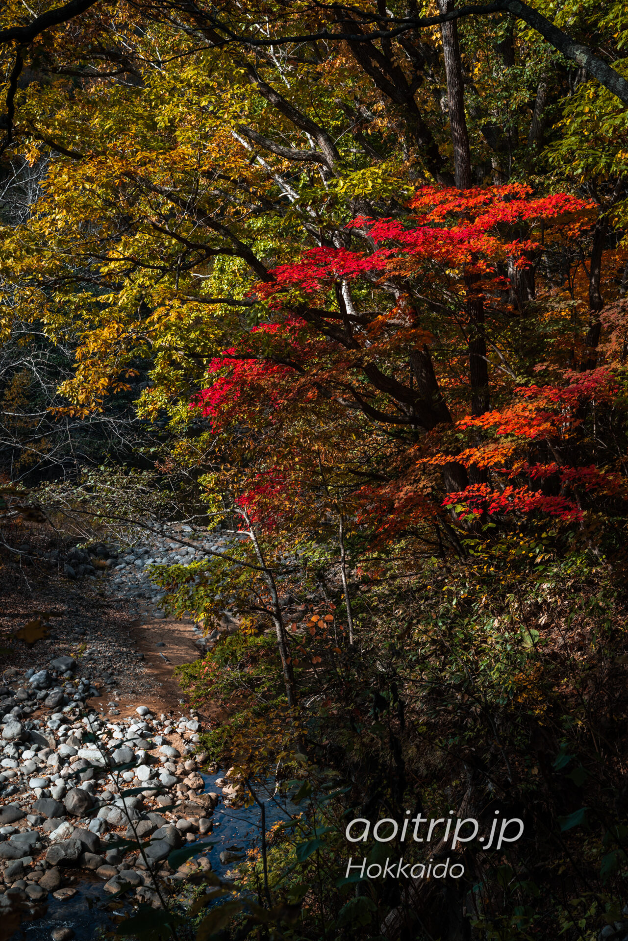 定山渓で秋色を撮る 紅葉スポット巡り Jozankei Fall Photo Guide