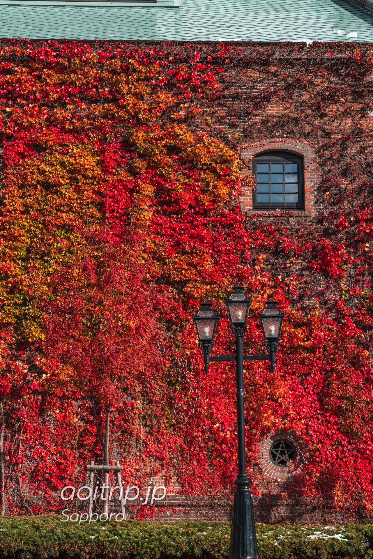 蔦紅葉が美しい秋のサッポロファクトリー赤煉瓦館｜Sapporo Factory