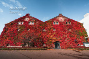 蔦紅葉が美しい秋のサッポロファクトリー赤煉瓦館｜Sapporo Factory