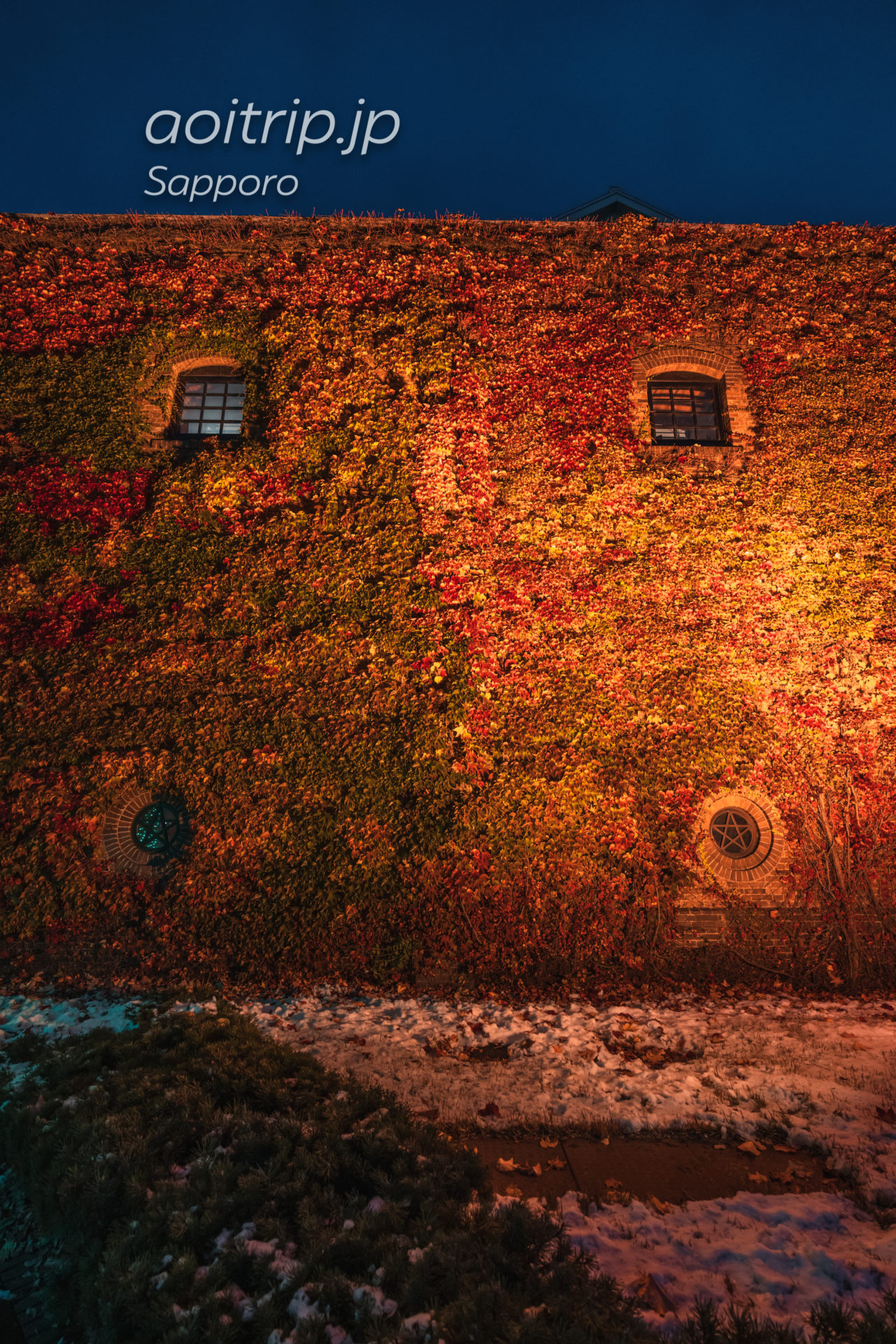 蔦紅葉が美しい秋のサッポロファクトリー赤煉瓦館の夜景