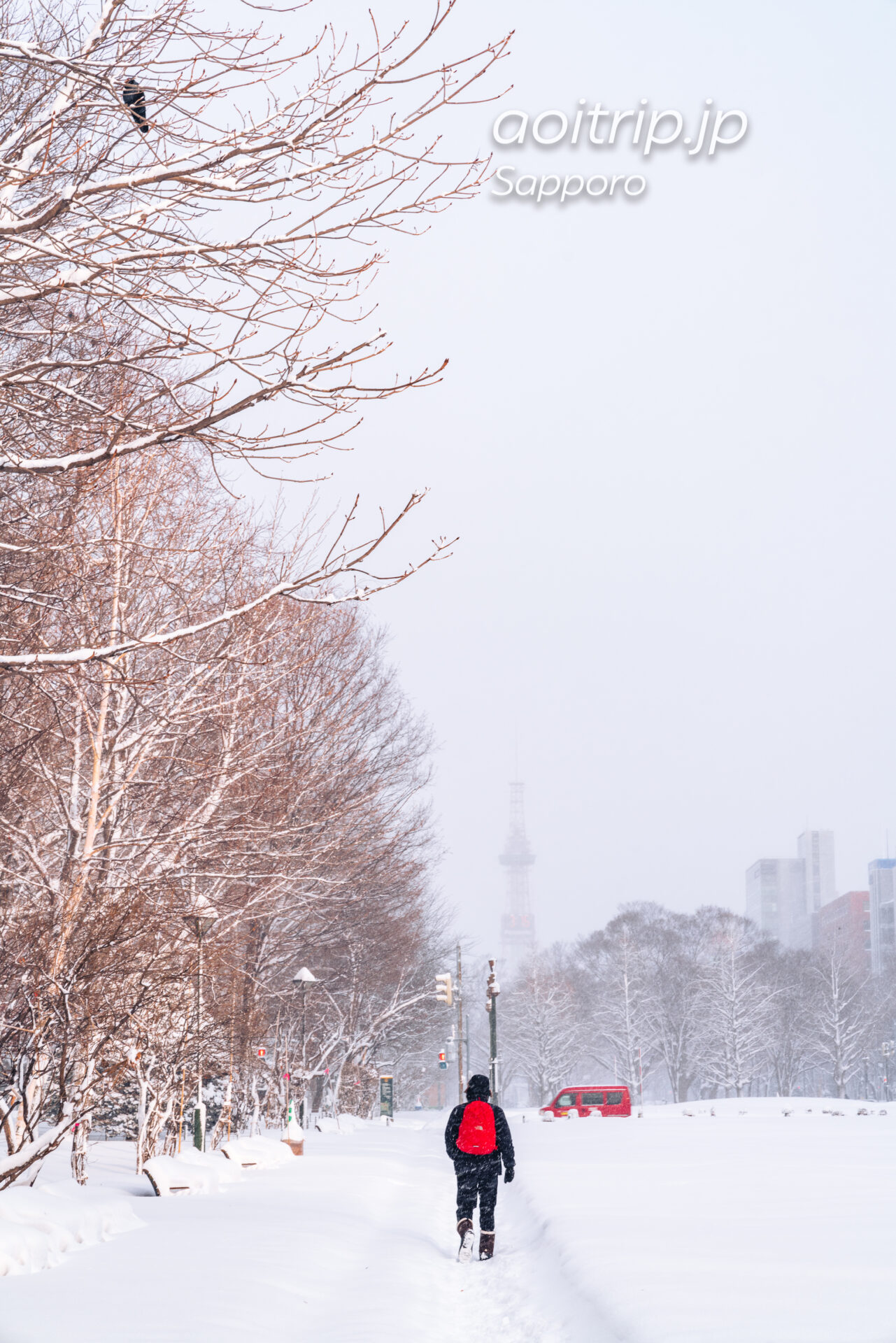 冬の大通公園 雪景色とさっぽろテレビ塔