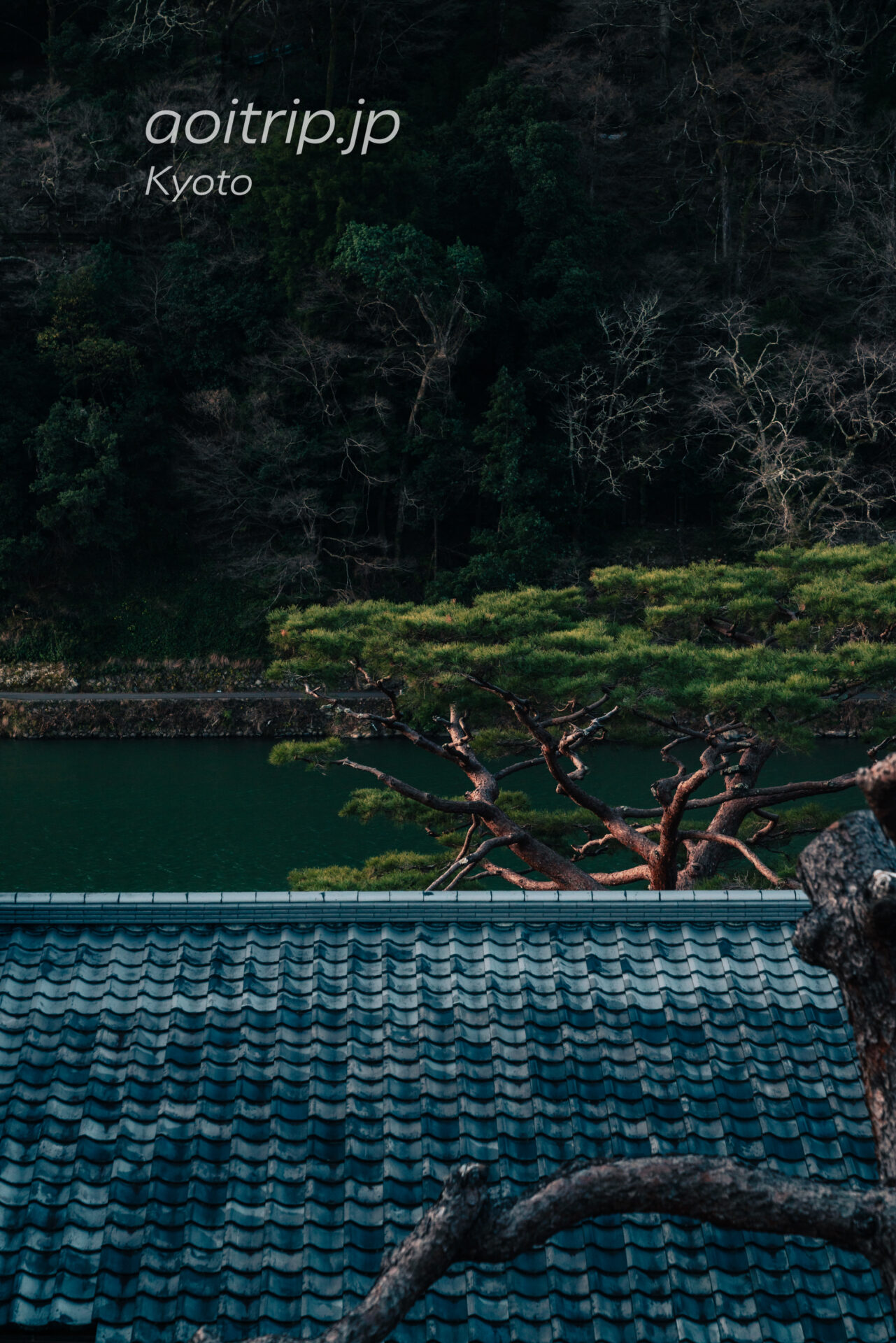 翠嵐ラグジュアリーコレクション京都のプルデンシャルスイートから望む桂川