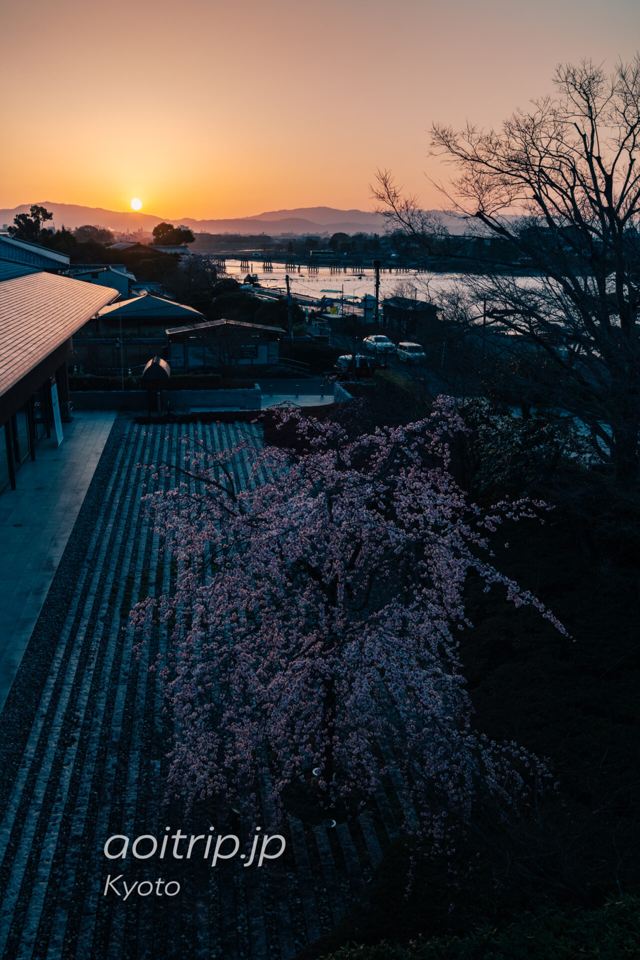 翠嵐（すいらん）プレジデンシャルコーナースイートから嵯峨嵐山文華館の枝垂れ桜を望む