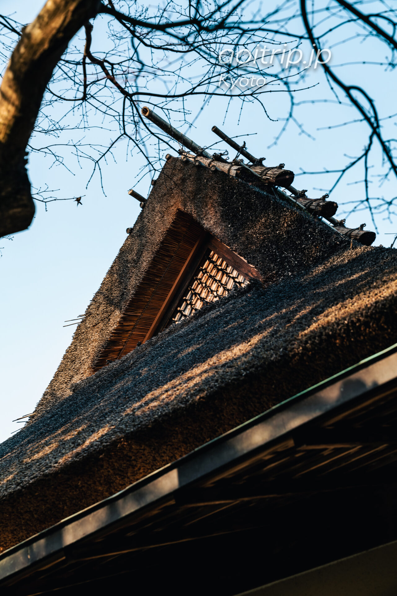 京都嵐山の茶寮八翠