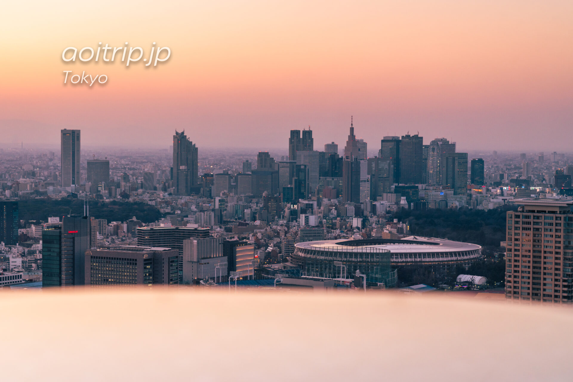 Tokyo Skyline ザ リッツカールトン東京から望む新宿副都心