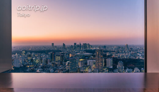 Tokyo Skyline 天空の眺望 ザ リッツ東京のスイートルーム客室から