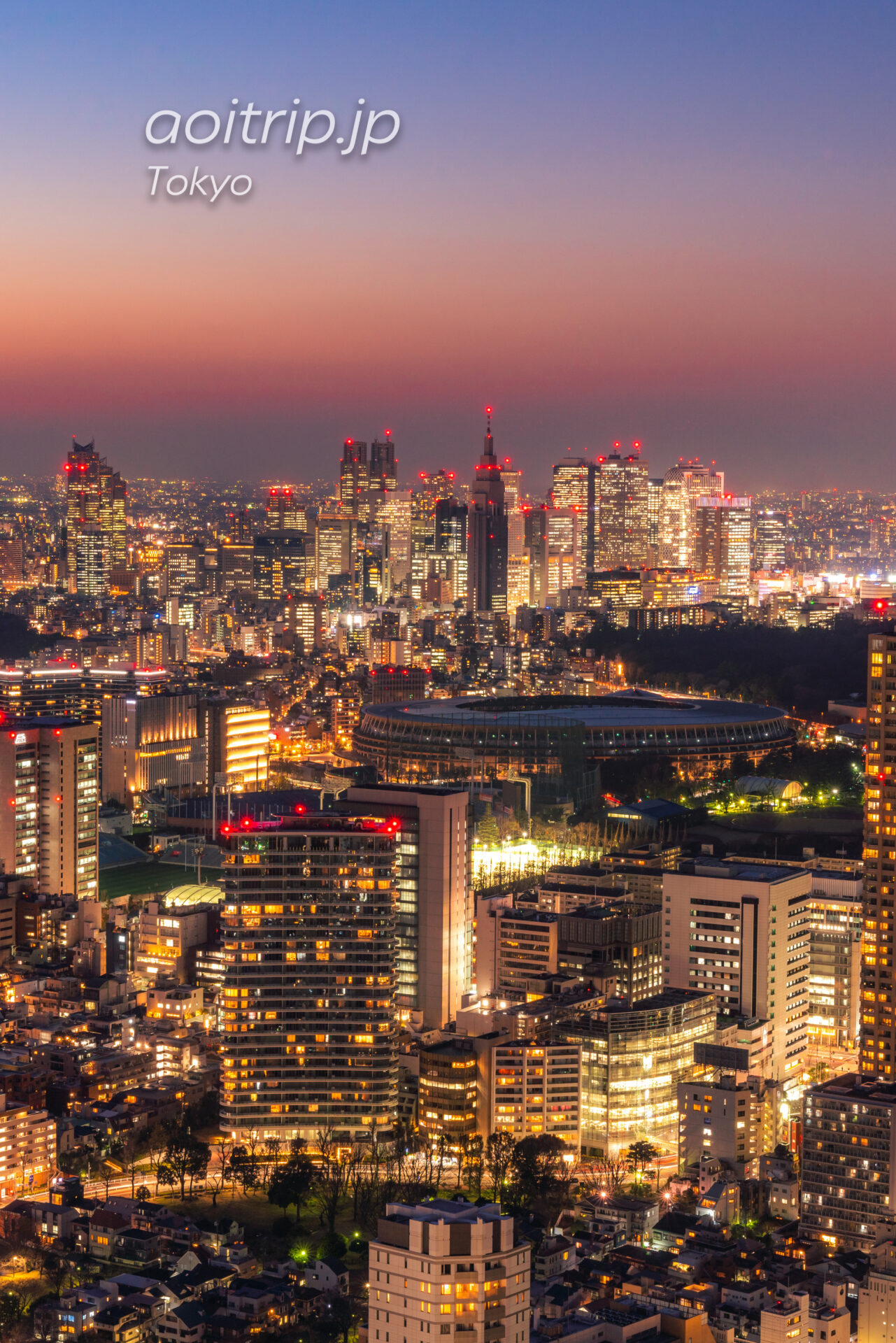 ザ リッツ カールトン東京から望む新宿副都心の夜景