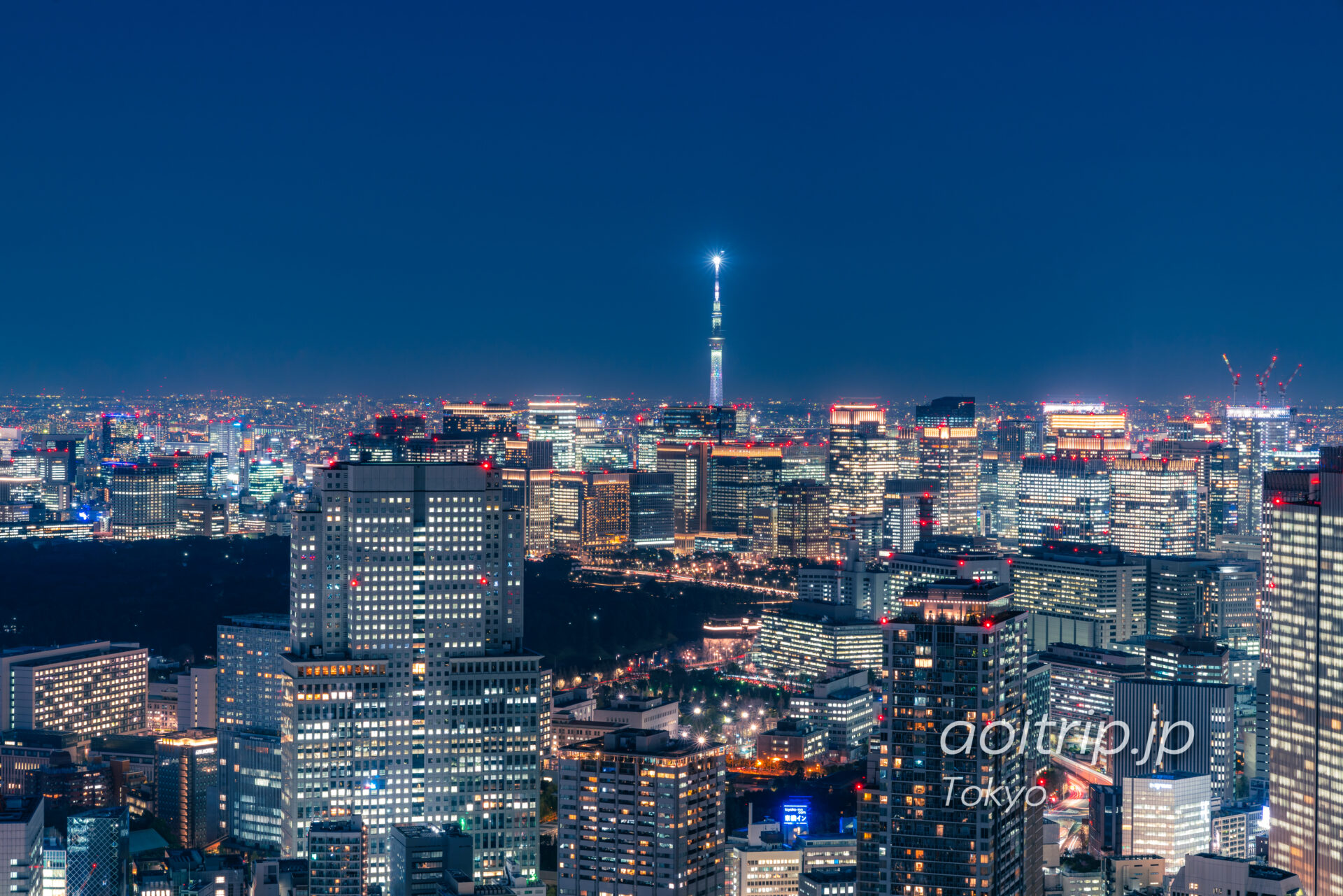 ザ リッツ カールトン東京から望む皇居と東京スカイツリーの夜景