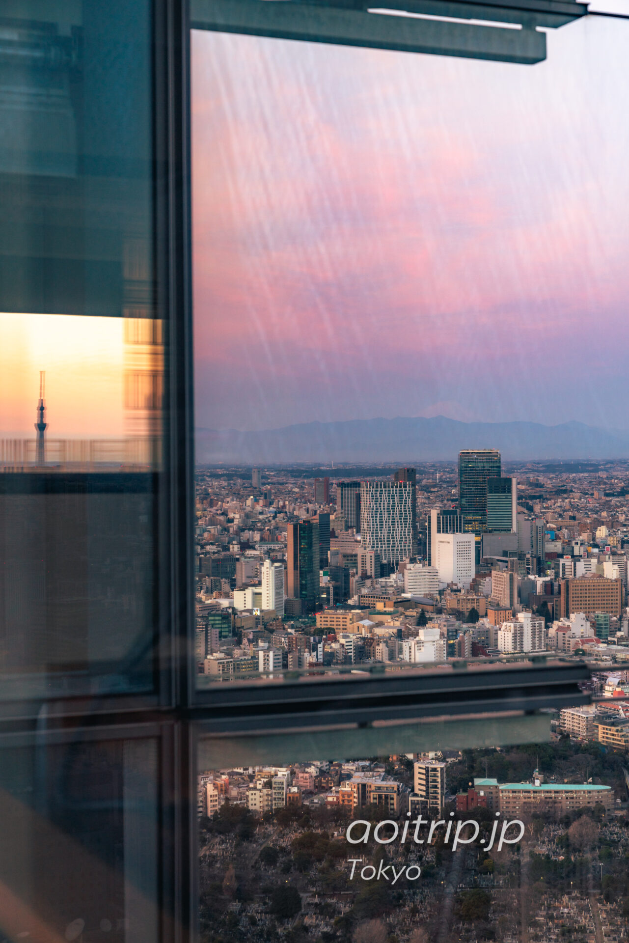 Tokyo Skyline ザ リッツカールトン東京から望む早朝の富士山と東京スカイツリー