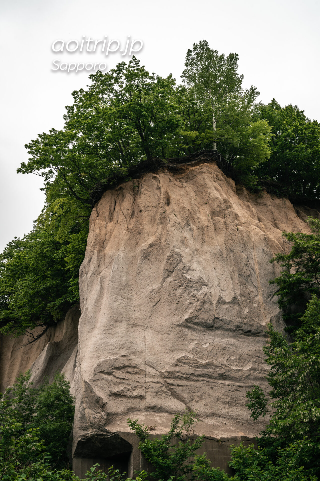 札幌 石山緑地にある溶結凝灰岩の露頭