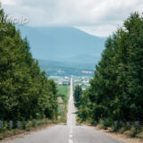 パノラマロード江花 上富良野 Panorama Road Ehana, Kamifurano