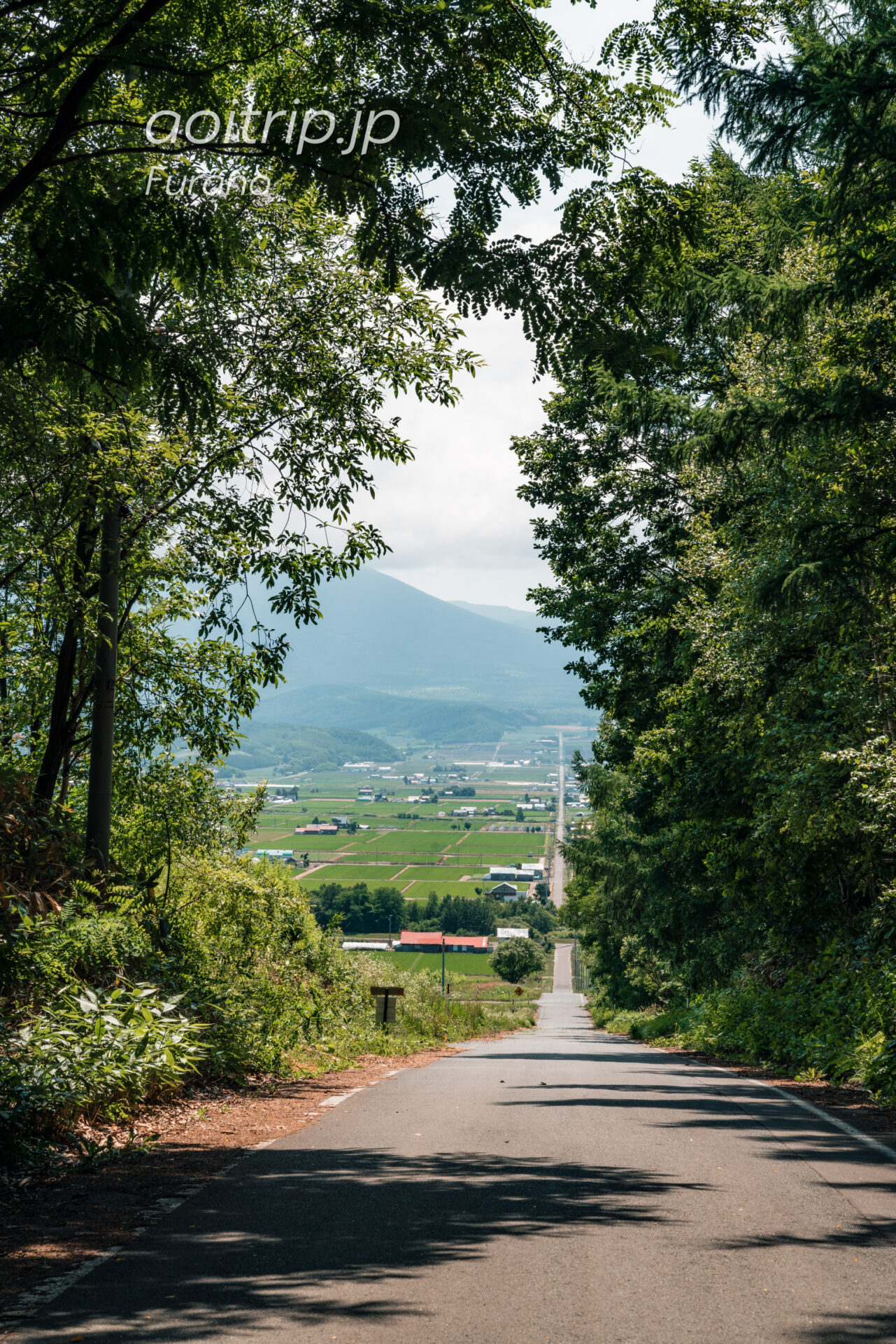 パノラマロード江花 上富良野 Panorama Road Ehana, Kamifurano