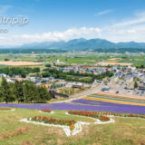 中富良野町営ラベンダー園（北星山）｜Choei Lavender Farm, Nakafurano