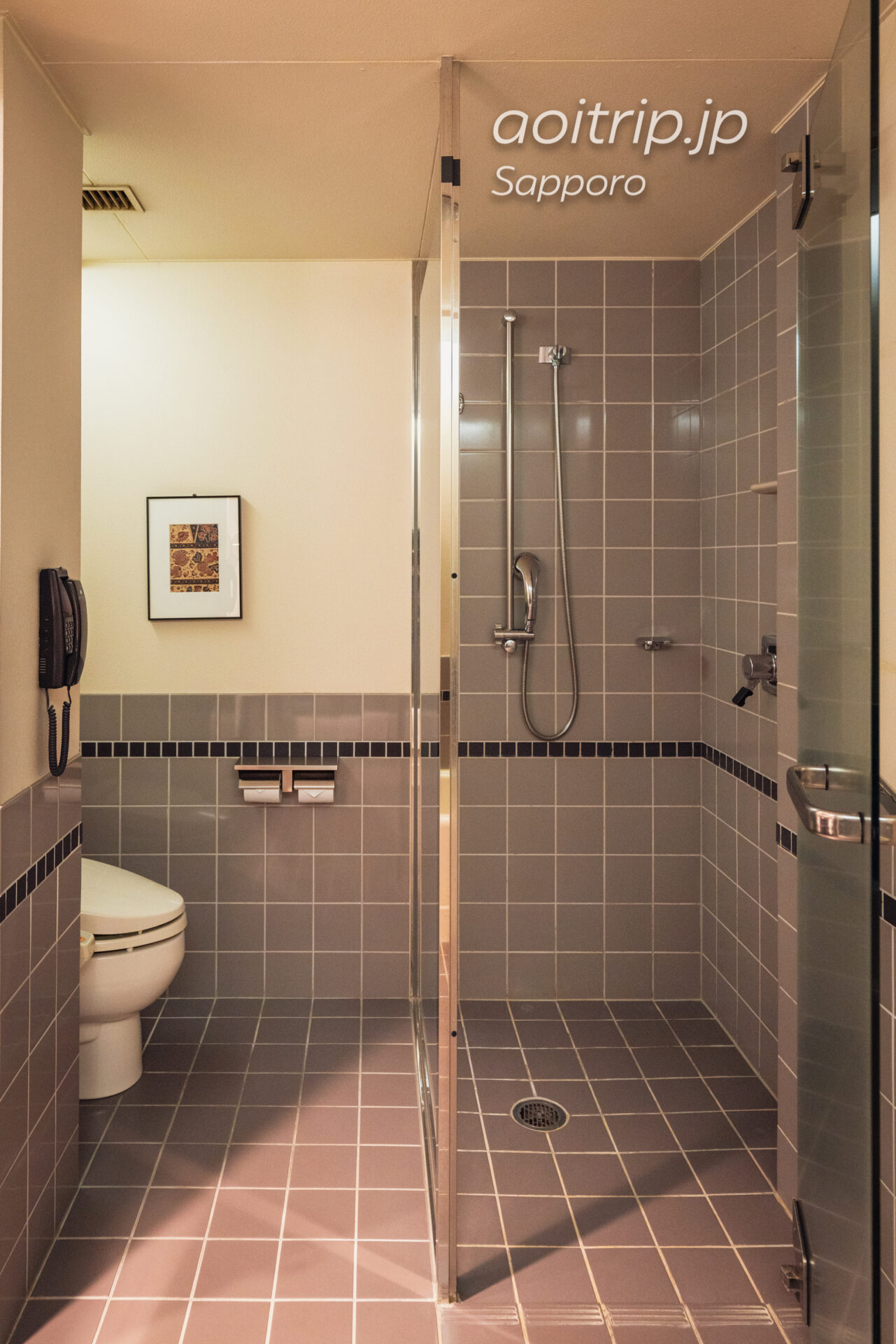 プレミアホテル TSUBAKI 札幌 バスルームのシャワーブースとトイレ
