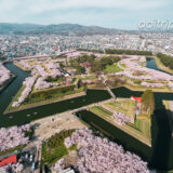 函館 五稜郭の桜 Cherry Blossoms in Goryokaku, Hakodate