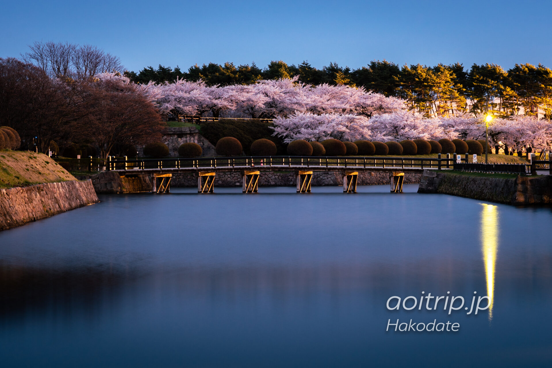 函館 五稜郭 二の橋と桜並木