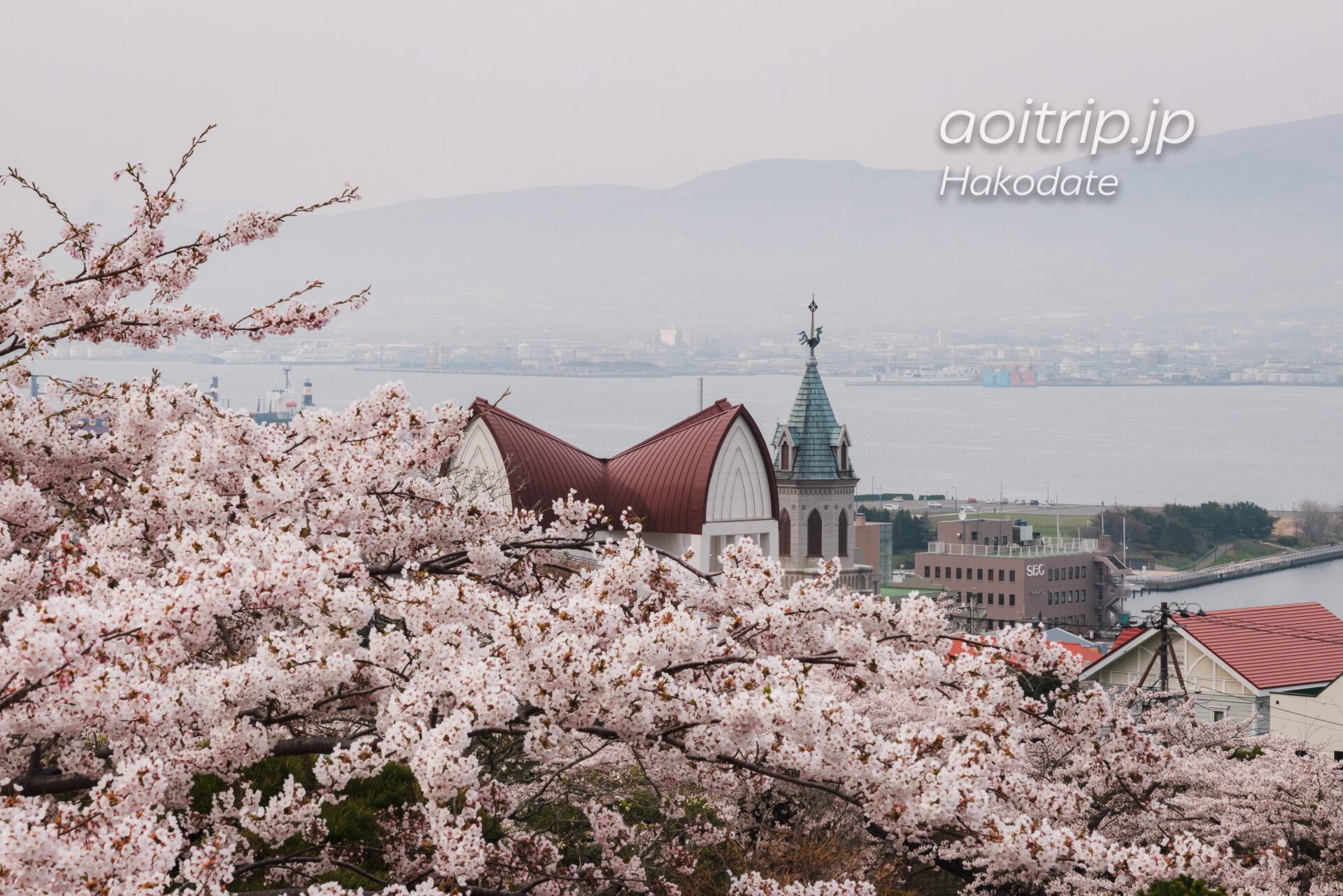 函館市元町配水場から望む桜と函館聖ヨハネ教会