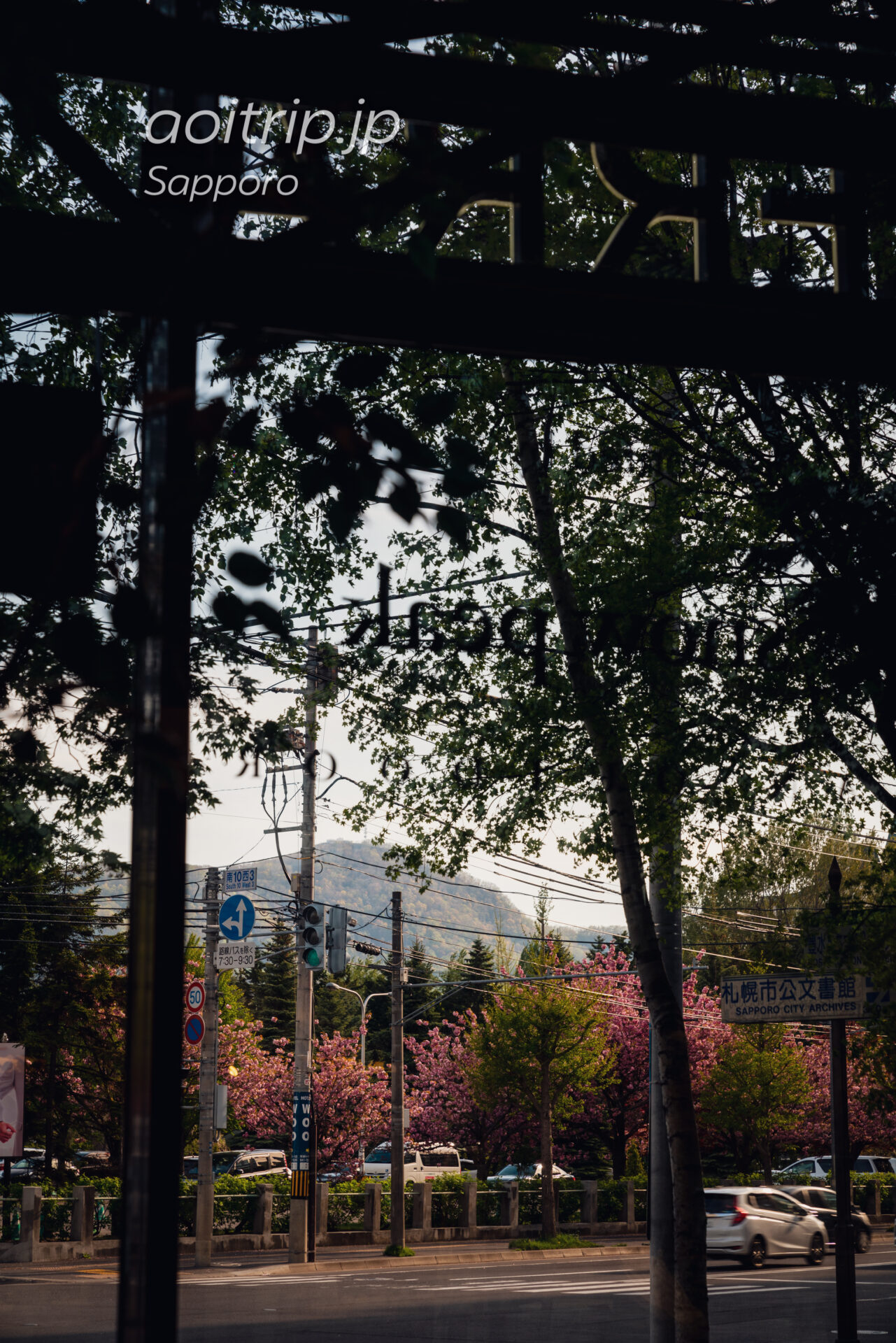 ホテルマイステイズプレミア札幌パークから望む藻岩山と中島公園の牡丹桜