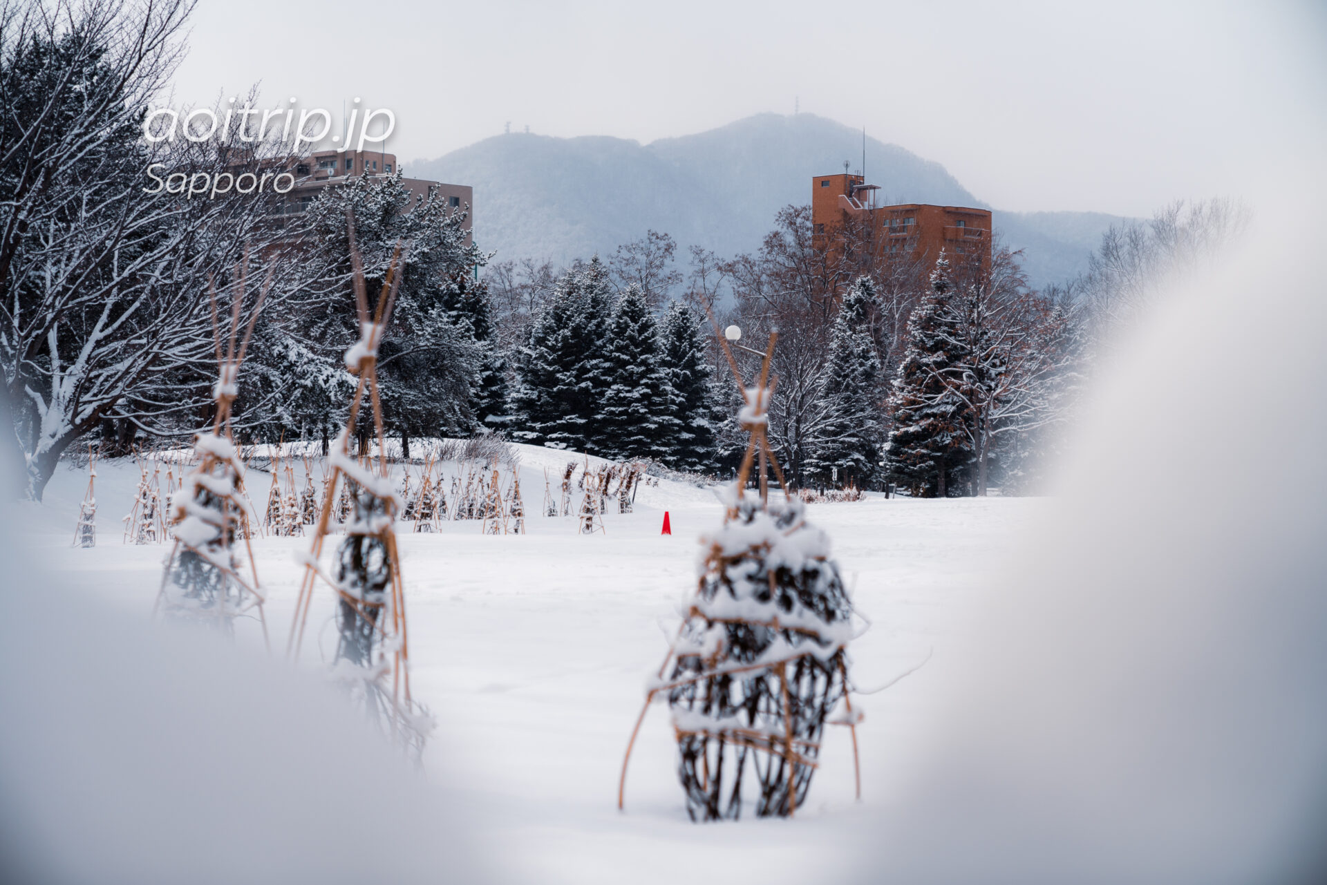 冬に雪が積もった札幌の中島公園から藻岩山を望む