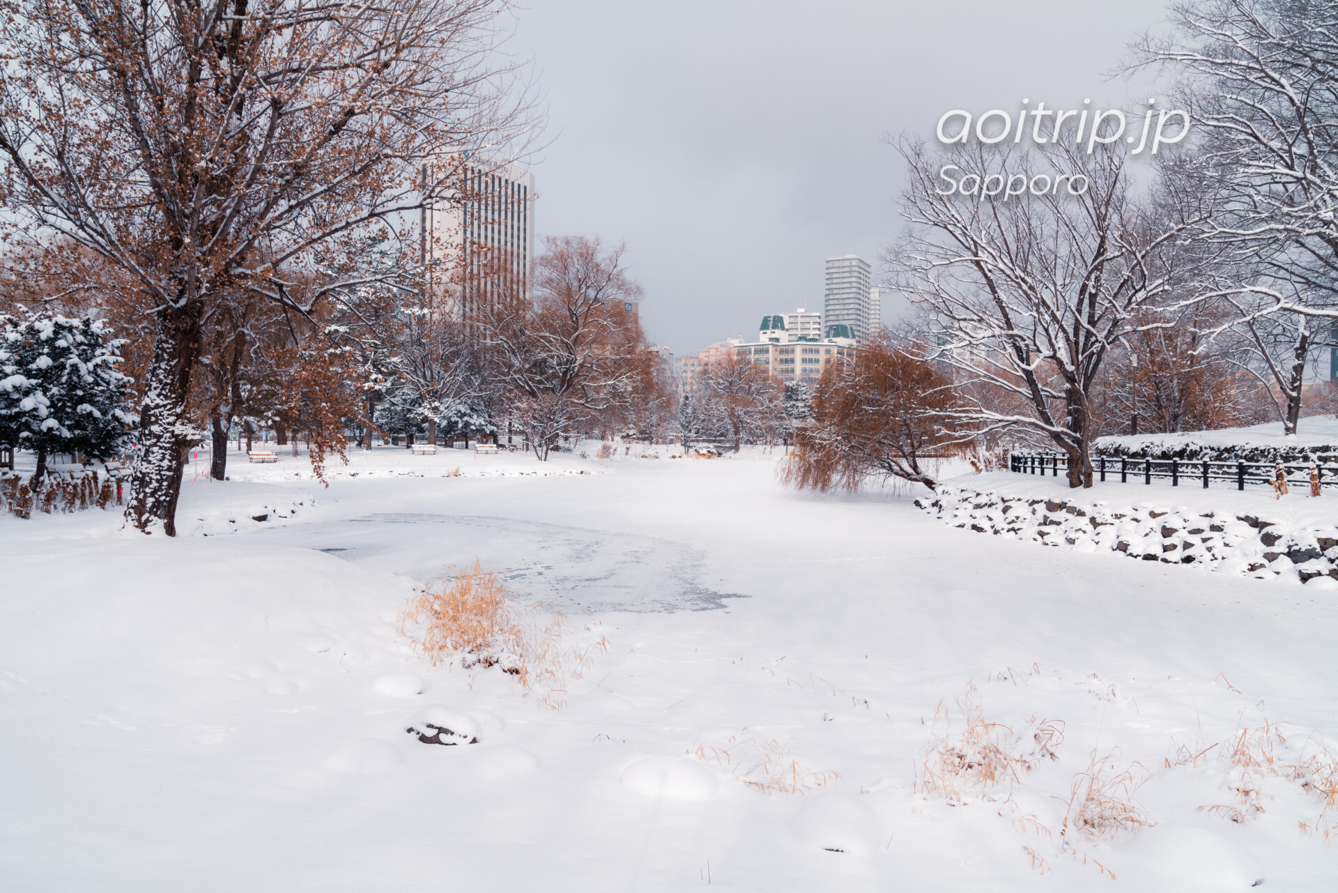 冬に雪が積もった札幌の中島公園 菖蒲池